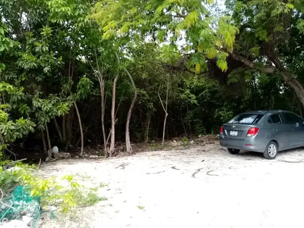 Casa en venta en El Petén, Benito Juárez — foto 2 de 10