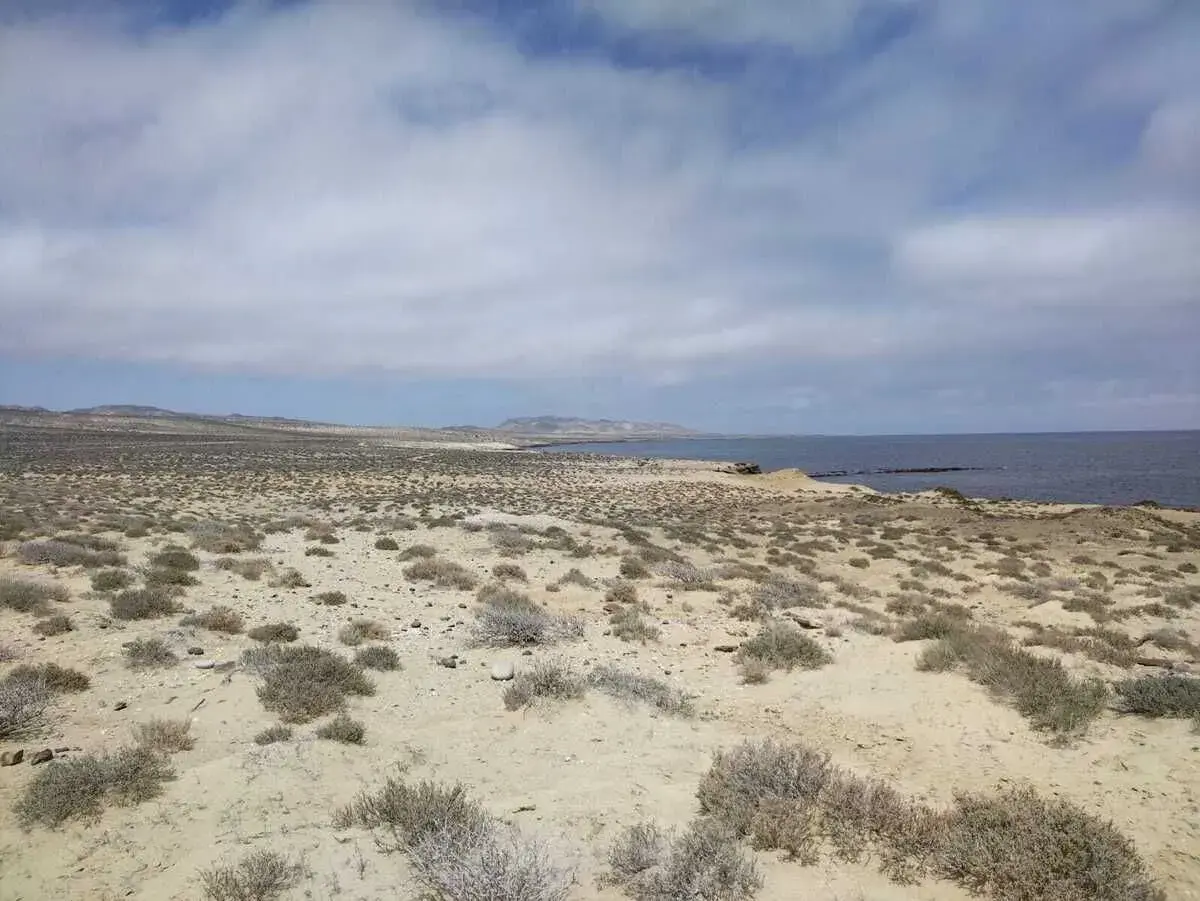 Terreno en venta en Bahía Tortugas, Mulegé — foto 1 de 8