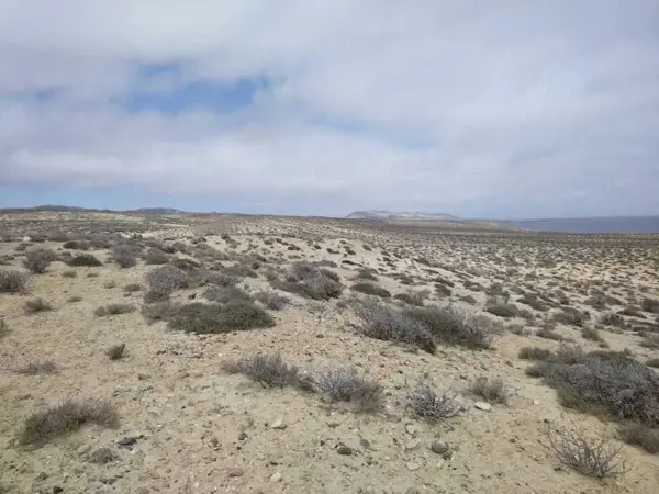 Terreno en venta en Bahía Tortugas, Mulegé — foto 2 de 8