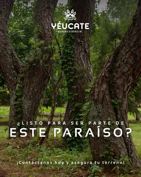 Terreno en venta en Chiquilistlan, Chiquilistlán — foto 3 de 11