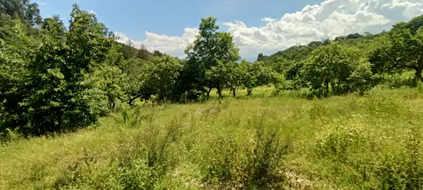Terreno en venta en Santa Cruz Etla, San Pablo Etla — foto 3 de 13