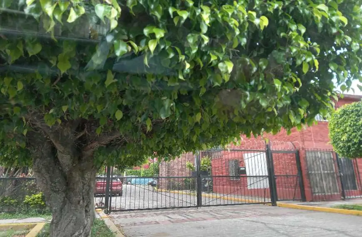 Departamento en venta en Rinconada Acolapa, Tepoztlán — foto 1 de 9