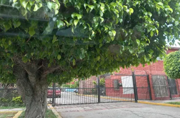 Departamento en venta en Rinconada Acolapa, Tepoztlán, Morelos