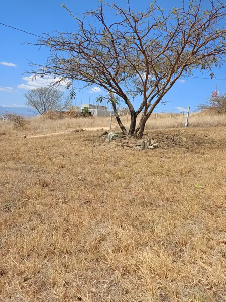 Terreno en venta en San Pedro Ixtlahuaca, San Pedro Ixtlahuaca — foto 3 de 7