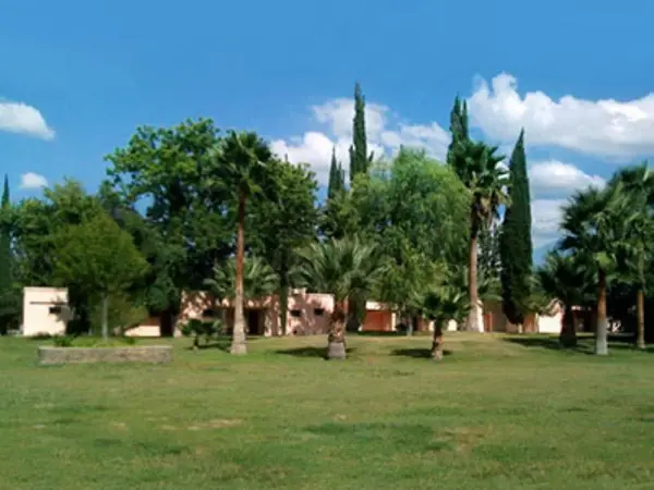 Terreno en venta en Rincon del Montero, Parras — foto 3 de 6