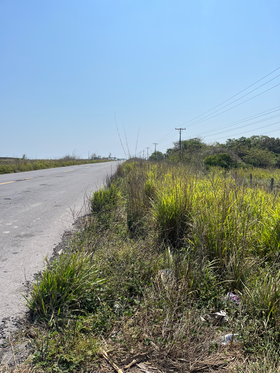 Terreno en venta en La Piedra, Alvarado — foto 1 de 9