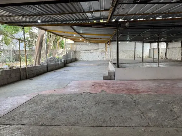 Terreno en venta en San Damian, Mérida — foto 3 de 15