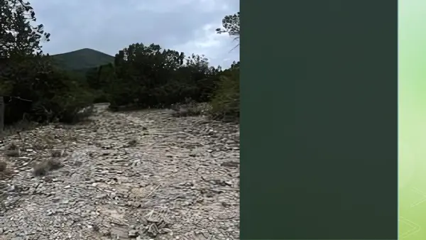 Terreno en venta en EL Potrero, Arteaga — foto 3 de 4