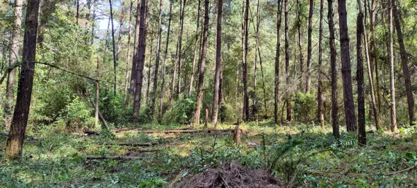 Terreno en renta en Avandaro, Valle de Bravo — foto 3 de 10