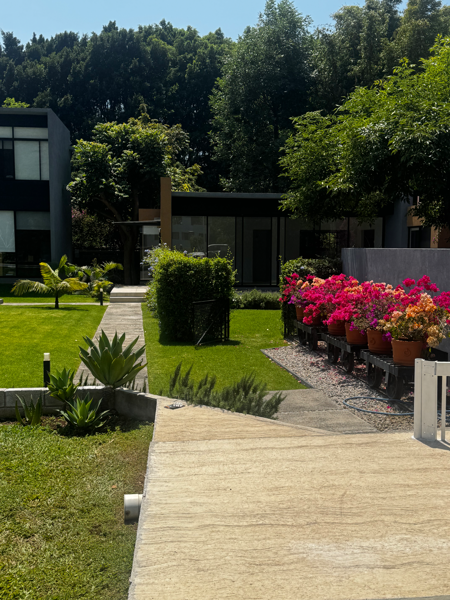 Casa en renta en Santo Domingo, Tepoztlán — foto 2 de 16