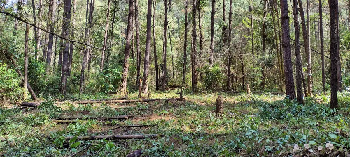 Terreno en renta en Avandaro, Valle de Bravo — foto 1 de 10