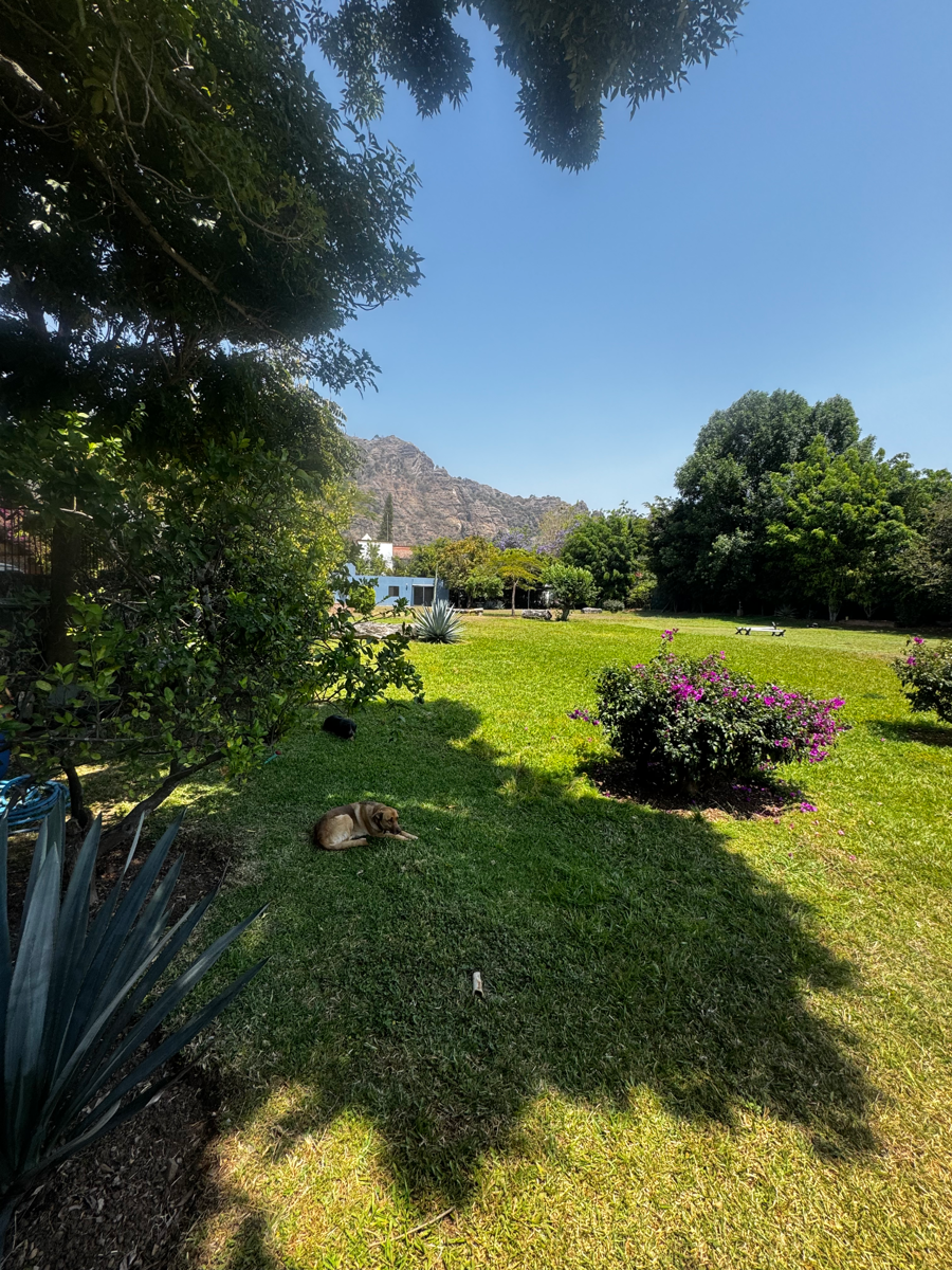 Terreno en venta en Santo Domingo, Tepoztlán — foto 1 de 3