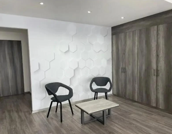 Departamento en venta en Anáhuac I Sección, Miguel Hidalgo — foto 3 de 20
