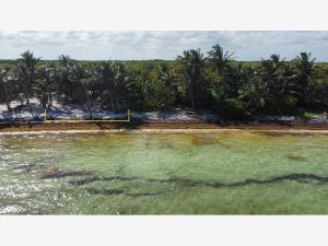 Terreno en venta en Xcalak, Othón P. Blanco, Quintana Roo