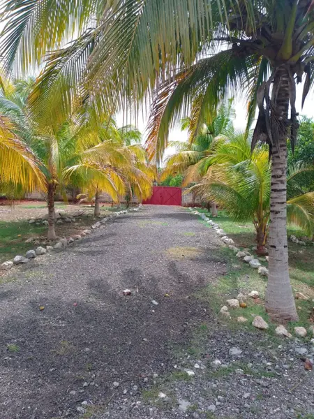 Terreno en venta en Jardines de Tahdzibichén, Mérida — foto 3 de 30