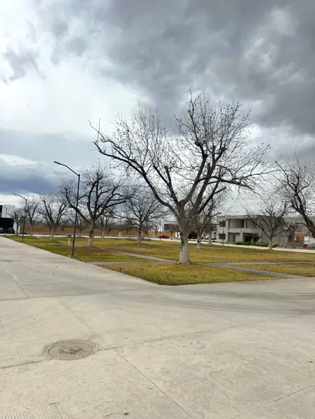 Terreno en venta en La Barranca, Torreón — foto 2 de 4