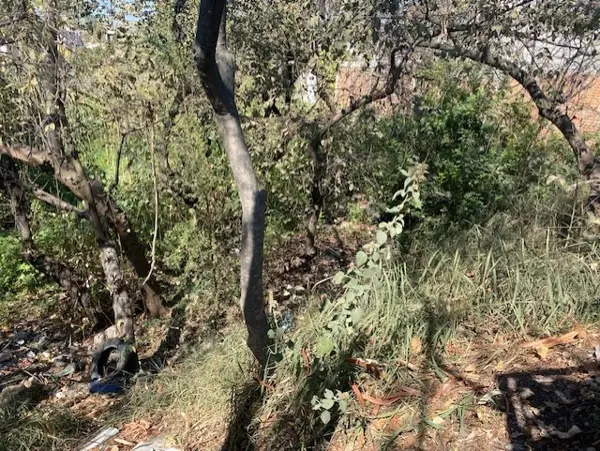 Terreno en venta en Pedregal de las Fuentes, Jiutepec — foto 3 de 9
