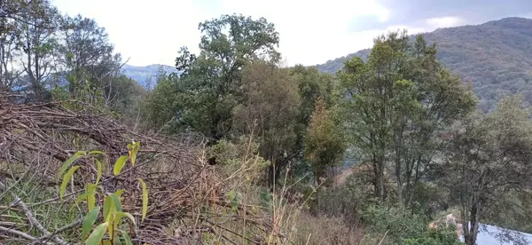 Terreno en venta en El Aviadero, Omitlán de Juárez — foto 3 de 7