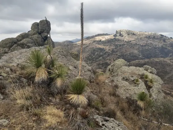 Terreno en venta en Benito Juárez, Mineral del Chico — foto 3 de 18