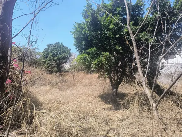 Terreno en venta en Empleado Municipal, Cuautla — foto 2 de 12