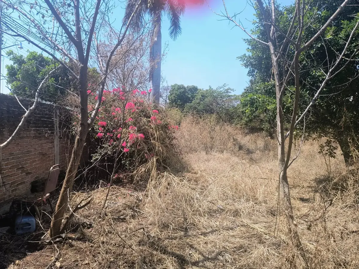 Terreno en venta en Empleado Municipal, Cuautla — foto 1 de 12