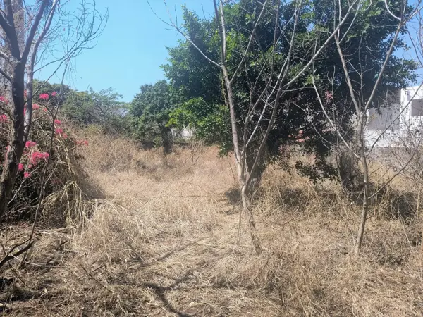 Terreno en venta en Empleado Municipal, Cuautla — foto 3 de 12