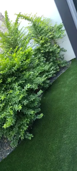 Casa en venta en Zibatá, El Marqués — foto 2 de 21