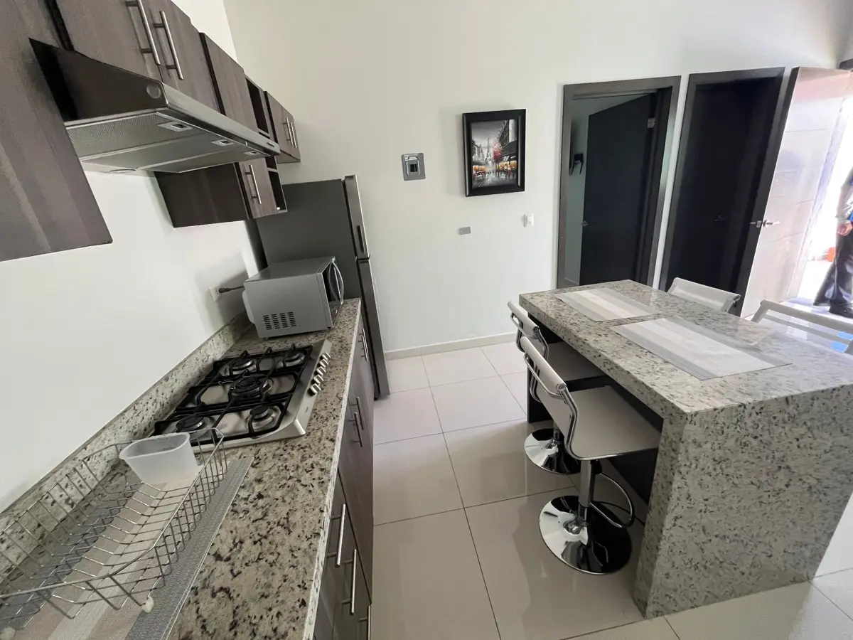 Departamento en renta en Alpes Norte, Saltillo — foto 1 de 4