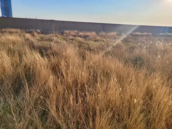 Terreno en venta en Reserva Territorial Atlixcayotl, San Andrés Cholula — foto 3 de 6