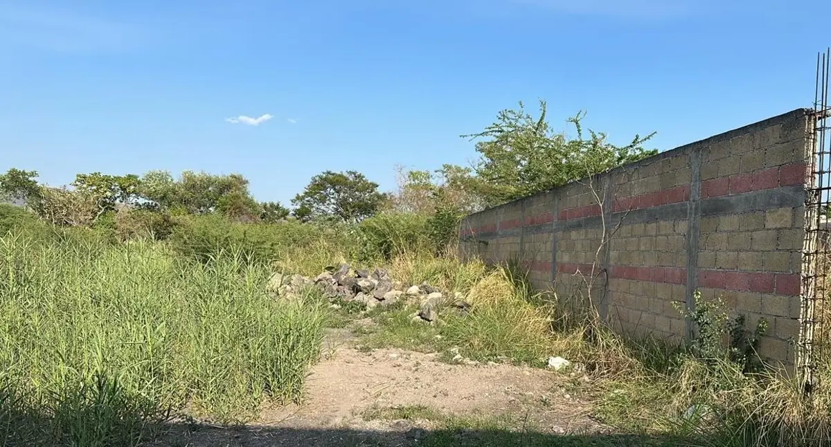 Terreno en venta en Chiconcuac, Xochitepec — foto 1 de 4