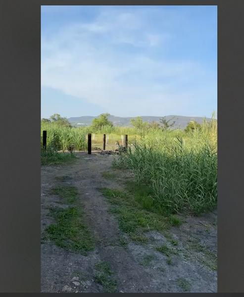 Terreno en venta en Chiconcuac, Xochitepec — foto 3 de 4