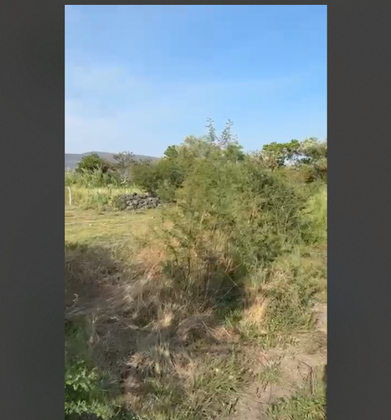 Terreno en venta en Chiconcuac, Xochitepec — foto 2 de 4