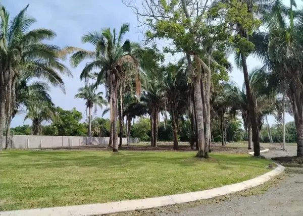 Terreno en venta en Medellín, Medellín de Bravo — foto 2 de 10