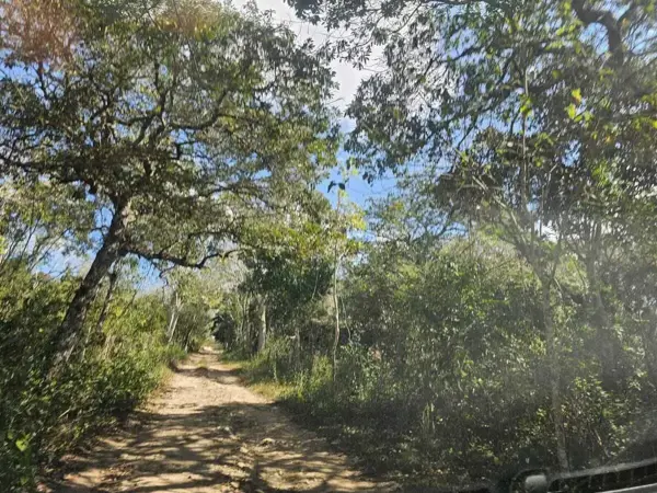 Terreno en venta en Tuxtla Gutiérrez (Francisco Sarabia), Ocozocoautla de Espinosa — foto 2 de 9
