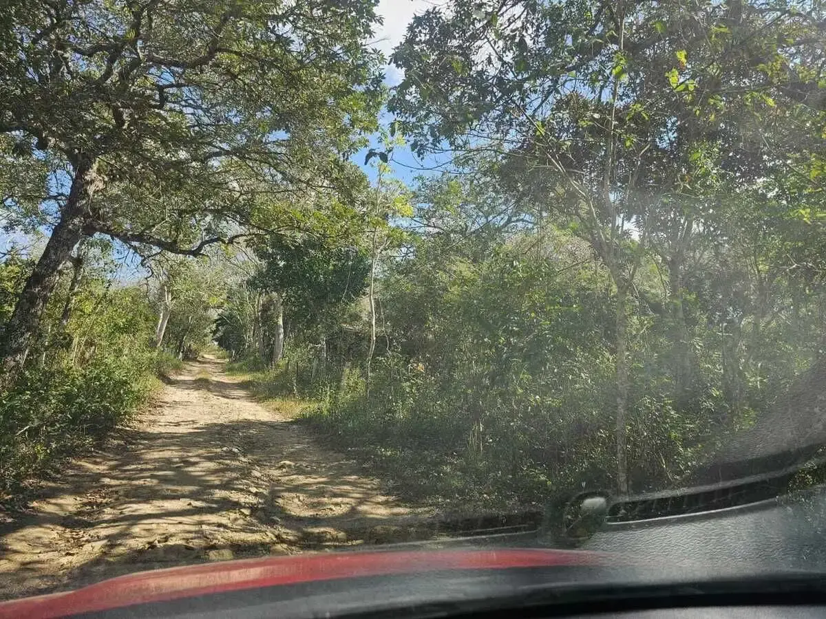 Terreno en venta en Tuxtla Gutiérrez (Francisco Sarabia), Ocozocoautla de Espinosa — foto 1 de 9
