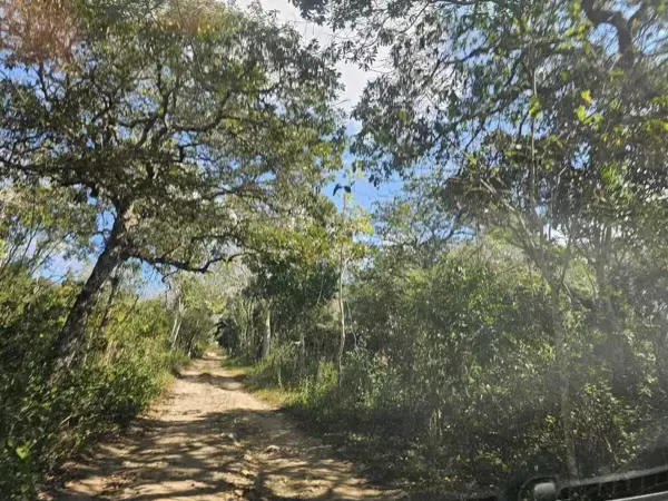 Terreno en venta en Tuxtla Gutiérrez (Francisco Sarabia), Ocozocoautla de Espinosa — foto 2 de 9