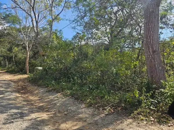 Terreno en venta en Tuxtla Gutiérrez (Francisco Sarabia), Ocozocoautla de Espinosa — foto 3 de 9