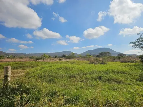 Terreno en venta en Ocozocoautla de Espinosa Centro, Ocozocoautla de Espinosa — foto 2 de 7