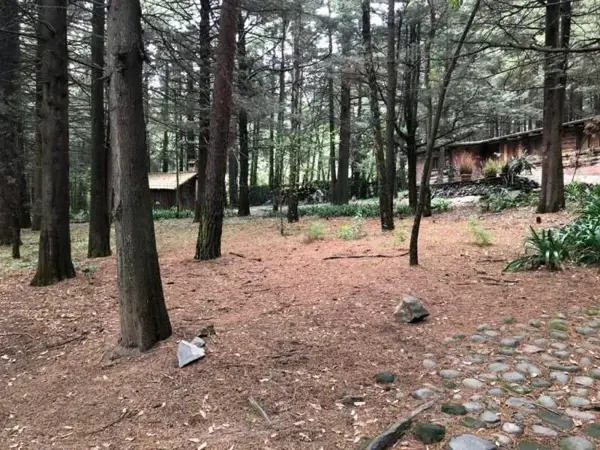 Terreno en venta en Ex-hacienda Jajalpa, Ocoyoacac — foto 3 de 11