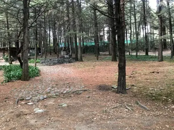 Terreno en venta en Ex-hacienda Jajalpa, Ocoyoacac — foto 2 de 11