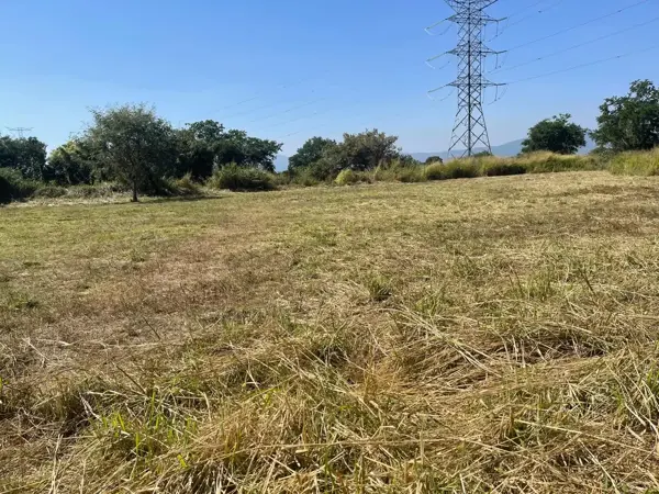 Terreno en venta en El Bebedero, Tlayacapan — foto 3 de 9