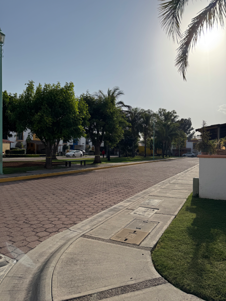 Casa en venta en Hacienda San Miguelito, Irapuato — foto 2 de 20