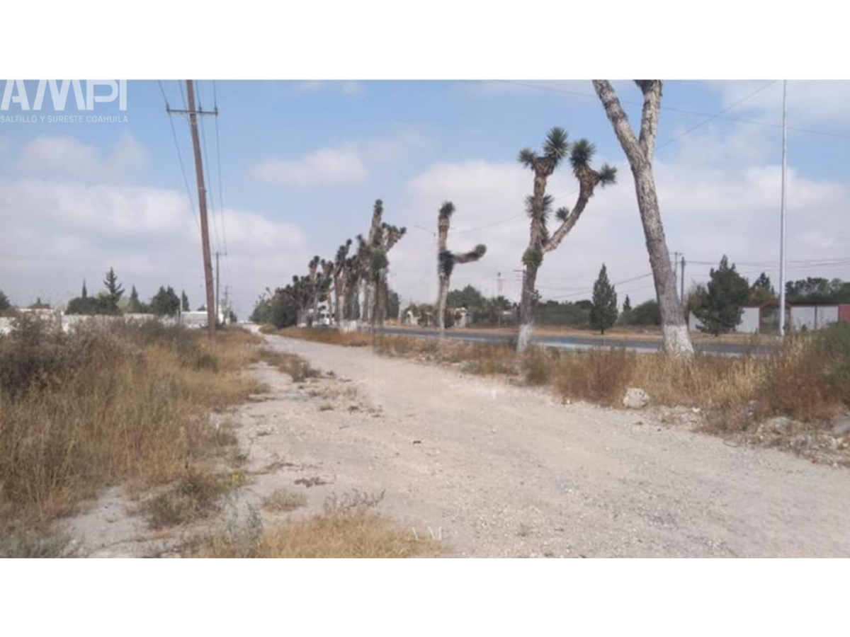Terreno en venta en Buenavista, Saltillo — foto 1 de 2