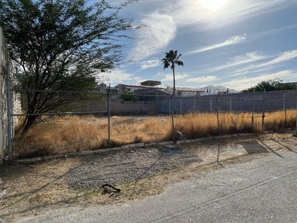Terreno en venta en Ampliación la Rosita, Torreón — foto 3 de 3