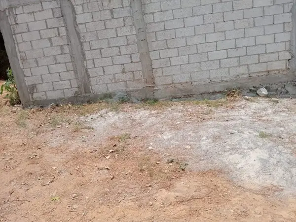 Terreno en venta en Cuernavaca Centro, Cuernavaca — foto 3 de 11