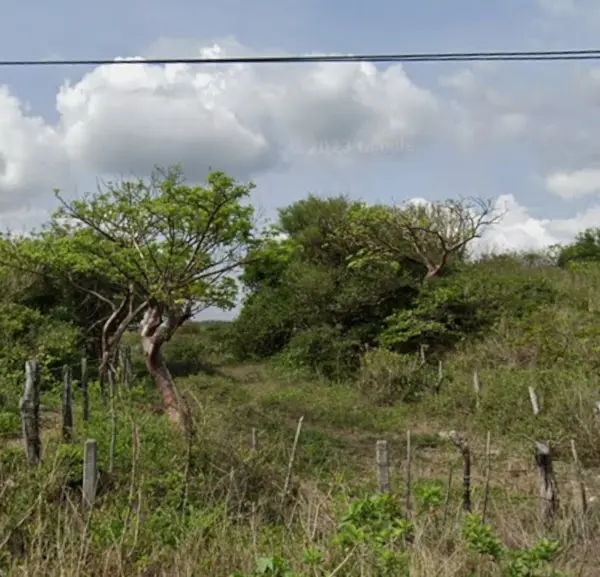 Terreno en venta en Real Mandinga, Alvarado — foto 3 de 4