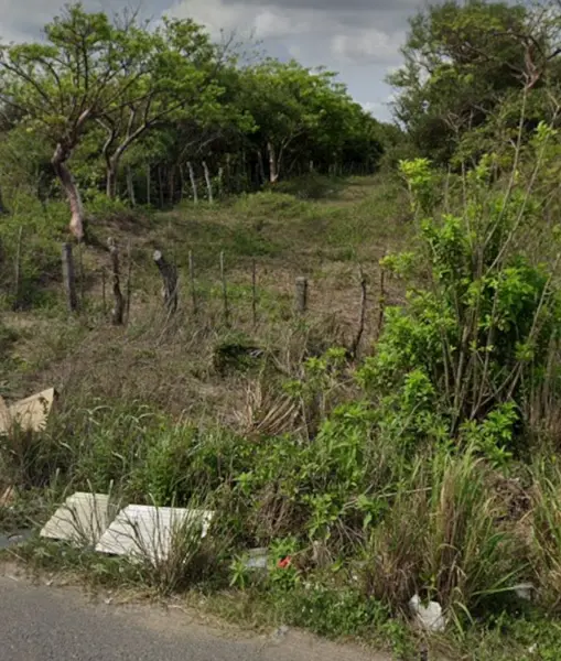 Terreno en venta en Real Mandinga, Alvarado — foto 2 de 4