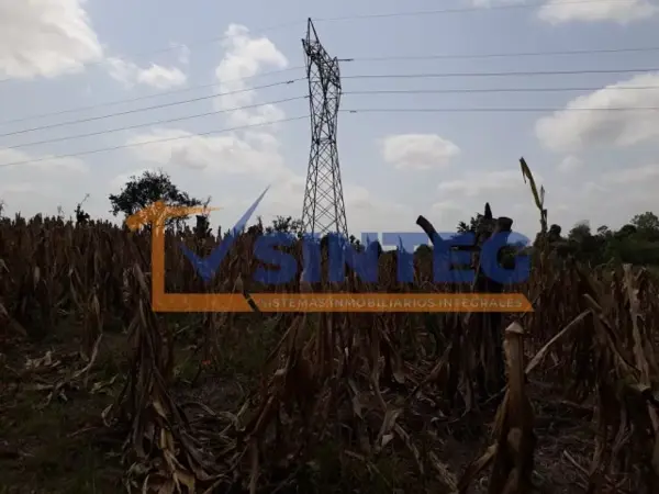 Terreno en renta en Emiliano Zapata, Papantla — foto 3 de 11