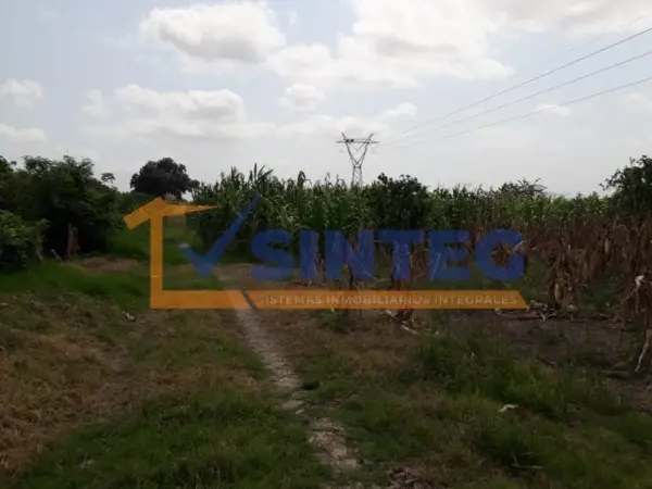 Terreno en renta en Emiliano Zapata, Papantla — foto 2 de 11