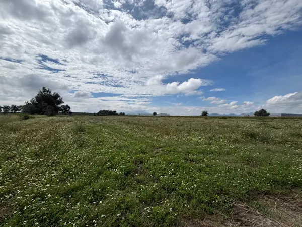 Terreno en venta en San José de Chiapa, San José Chiapa — foto 2 de 4